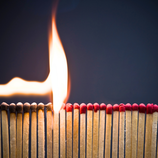 You’re Not a ProDom Bot